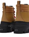 COLFAX ELEVATE MTE-2 BOT Wood Thrush
