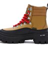 COLFAX ELEVATE MTE-2 BOT Wood Thrush
