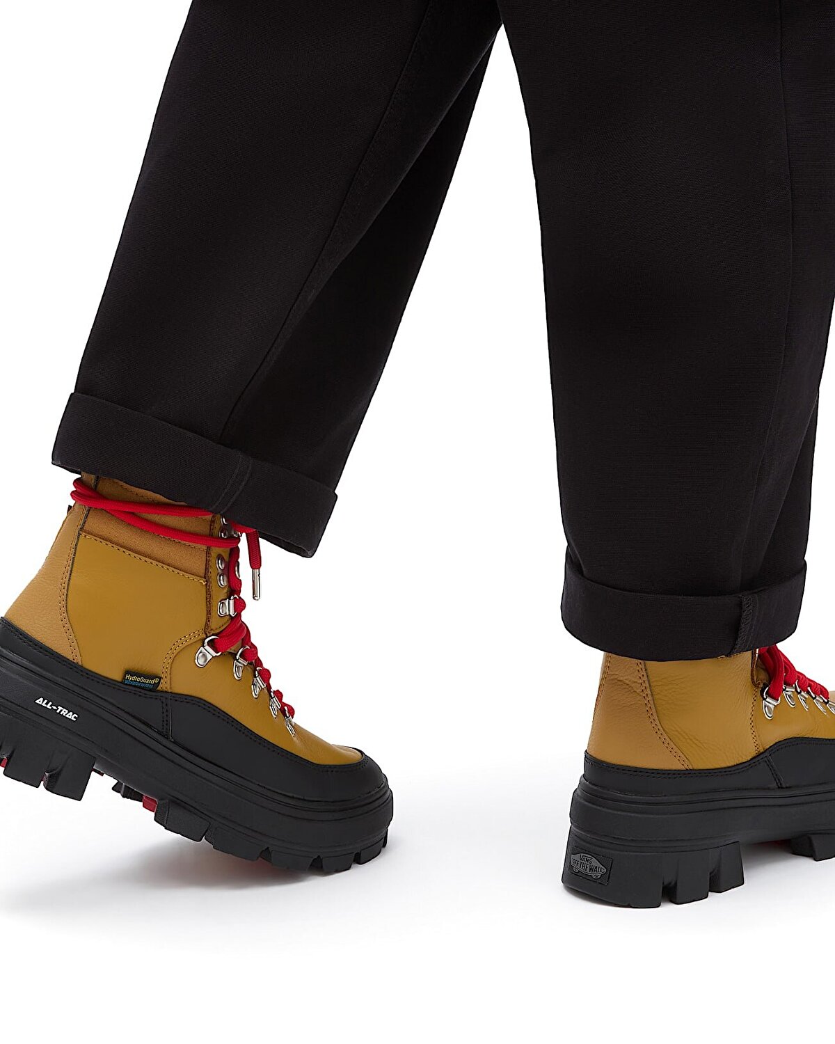 COLFAX ELEVATE MTE-2 BOT