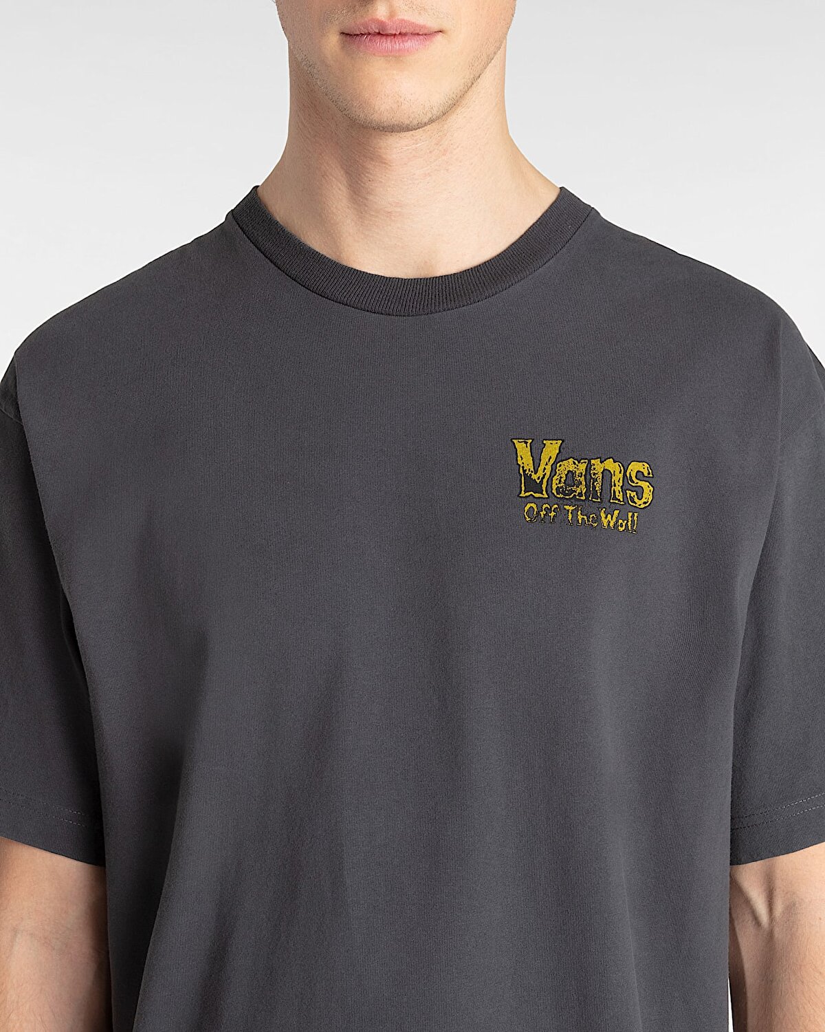 Z LEGACY LOOSE TİŞÖRT