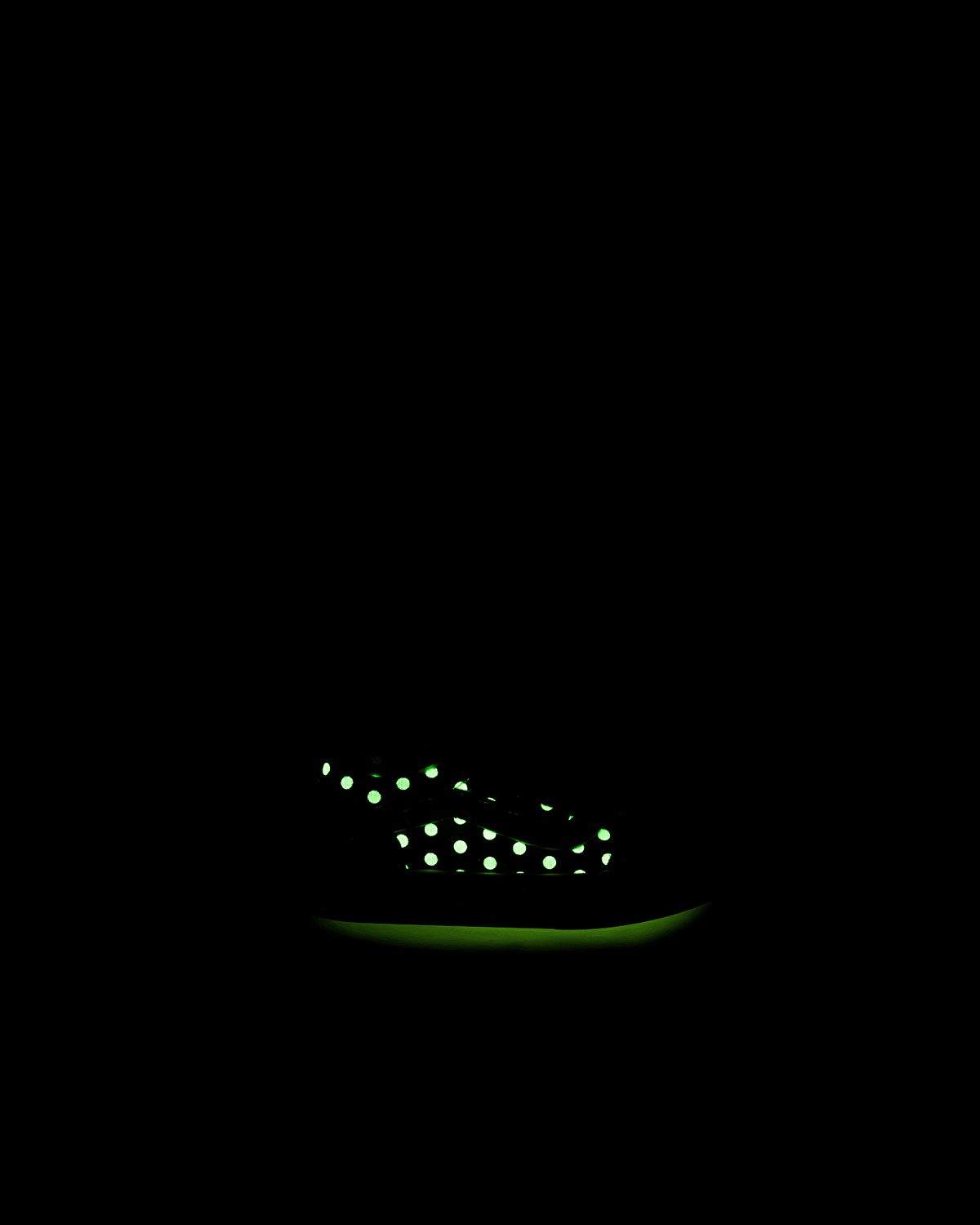 KÜÇÜK ÇOCUK OLD SKOOL CIRTCIRTLI AYAKKABI (1-4 YAŞ)