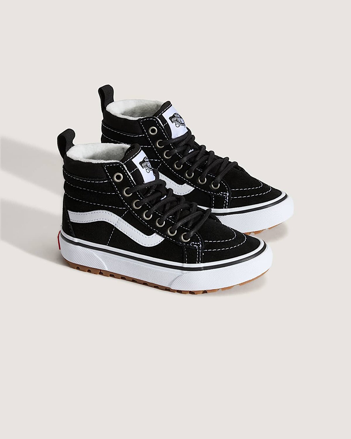 SK8-HI INSULATED AYAKKABI