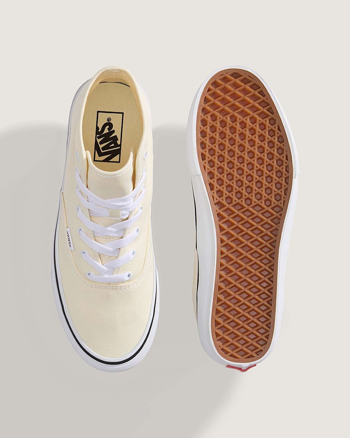 AUTHENTIC HI 2.0 AYAKKABI