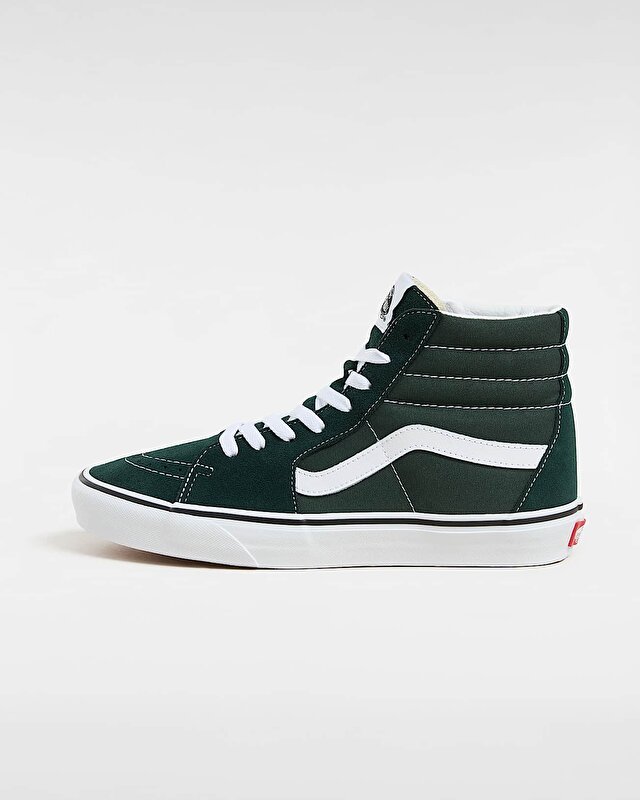 SK8-HI AYAKKABI Scarab